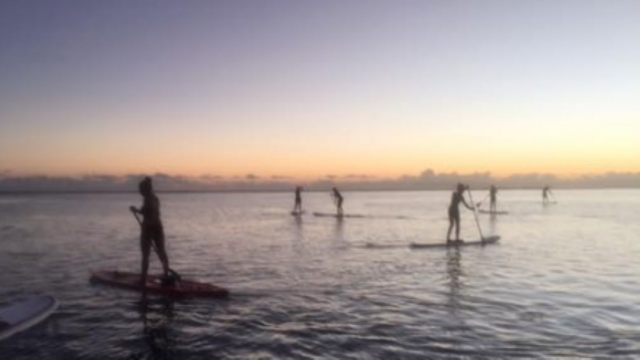  Benefíciate de la experiencia de nuestros monitores durante una clase de paddle surf en grupo 