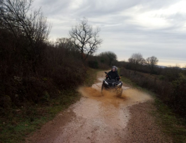 Quads können überall hinfahren 