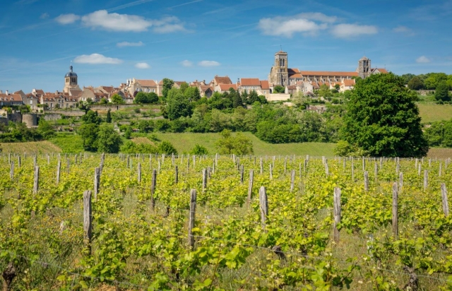  Visit the most beautiful sites of the Var by segway 