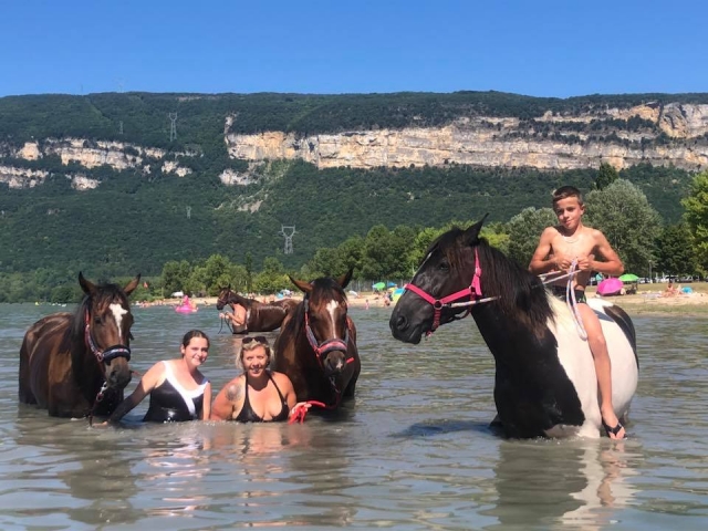 Activité équestre pour toute la famille