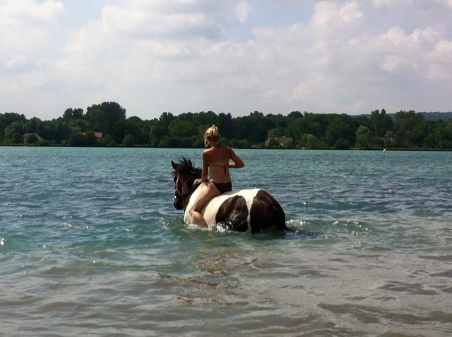 Baignade avec nos chevaux en Isère