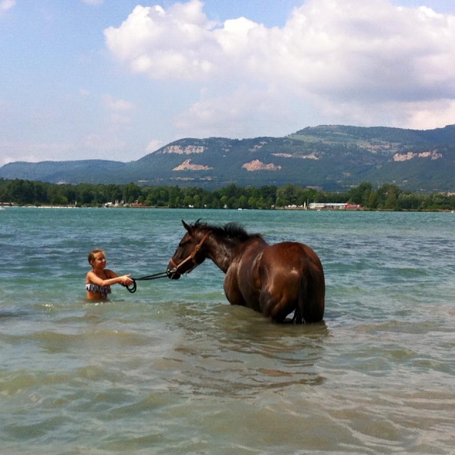 Balade rafraichissante avec nos chevaux