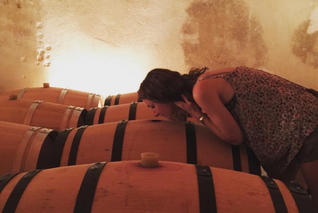 Lasciati sedurre dal mondo del vino a Saint-Michel-de-Fronsac 