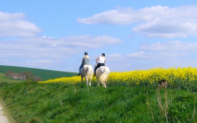 Plongez au coeur de la nature vauclusienne durant notre randonnée à cheval