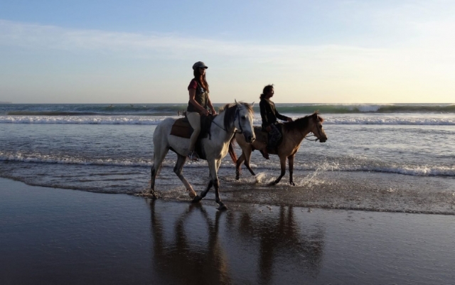  Goditi i paesaggi sublimi durante la tua passeggiata a cavallo 