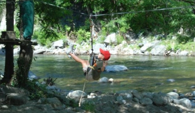  Introduce your children to the zip line during a tree climbing session 