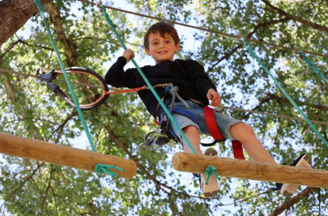  Tree climbing course accessible to all levels