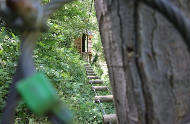  Tree climbing session for adults at Marquinaxes 