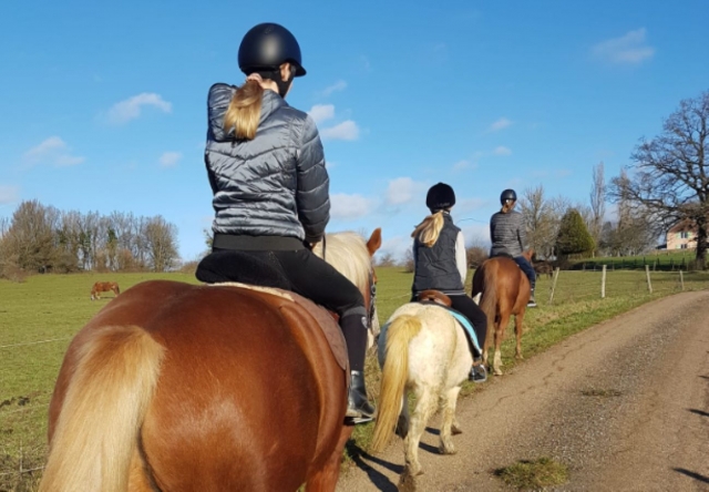 Balade à poney à Villers-sur-Port