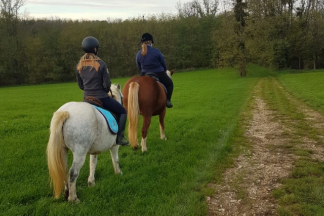 Nos balades à poney sont encadrées par un moniteur diplômé d'Etat