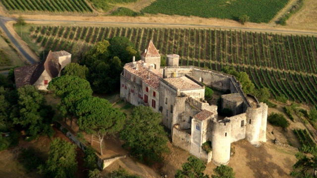 Vue depuis l'ULM sur des châteaux et des panoramas exceptionnels