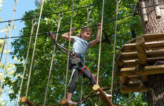 Desarrolla tu agilidad con la escalada de árboles