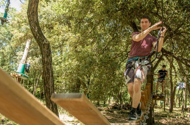 Supérate durante este sesión de escalada de árboles