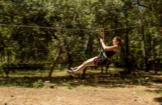 Tirolesa en el curso de escalada de árboles de nivel intermedio