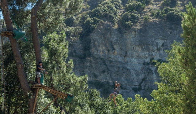 Disponemos de diferentes tirolinas destinadas a sumergirte en la naturaleza