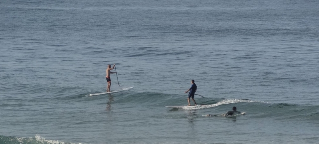 Prendi il tuo paddle board e parti per un'avventura 