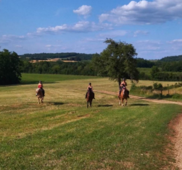 p-87130-profitez-dun-panorama-unique-lors-de-votre-randonne-e-a-cheval1690820771_16908208172385.jpg
