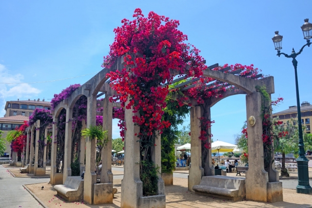  Scoperta dei migliori panorami di Ajaccio