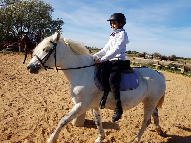  Horseback riding in Charente-Maritime 