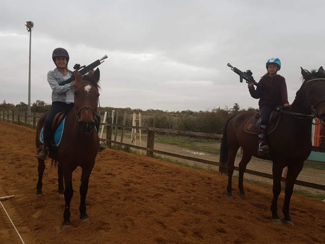  Onward to the game of Equestrian laser game 