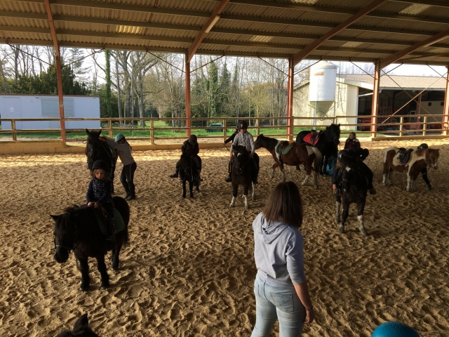  Piccola cavalcata in pony per bambini 