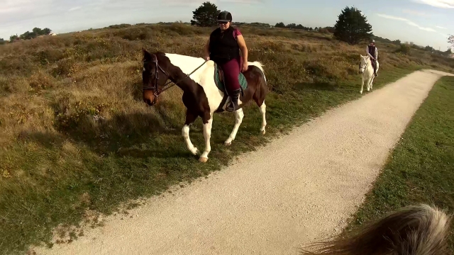  Facciamo un'incredibile passeggiata a cavallo in mezzo alla natura 