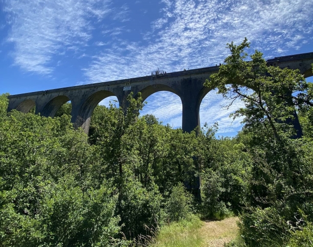  Sainte-Eulalie-de-Cernon 高架桥 