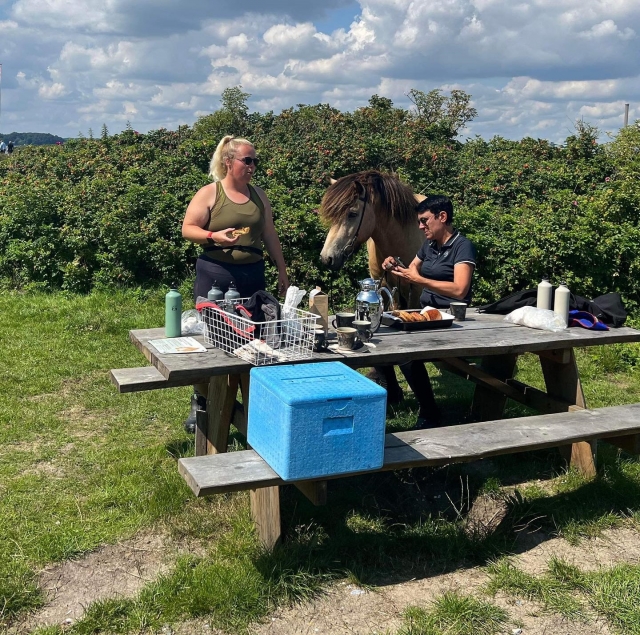 Pausa pranzo nel verde 