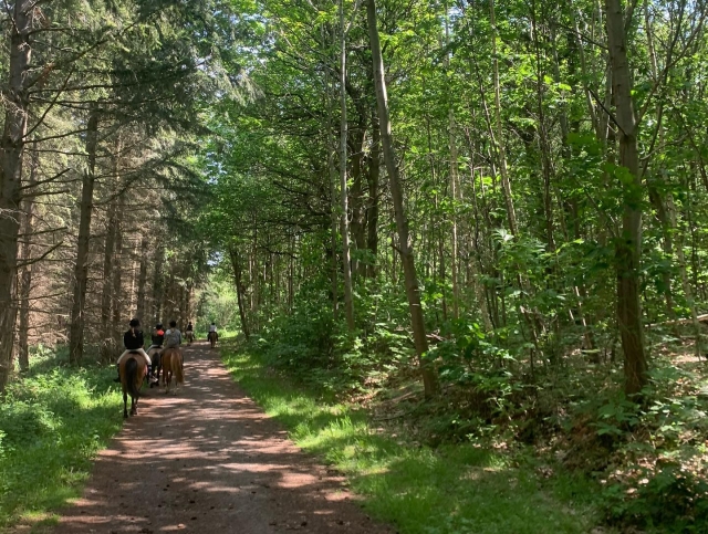  Passeggiata percorsi bucolici