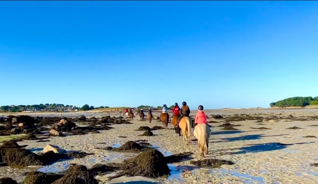  Walk on the beach