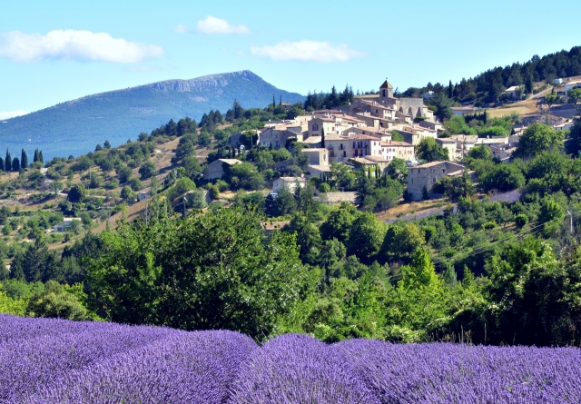  Vaucluse