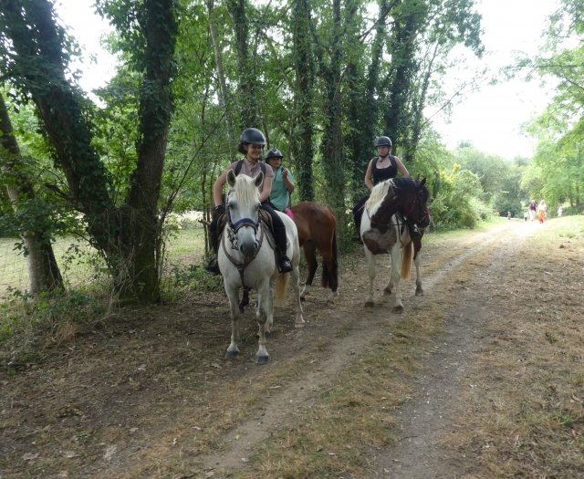 Sur les chemins 