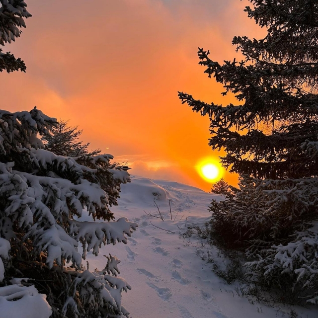  Bei Sonnenuntergang 