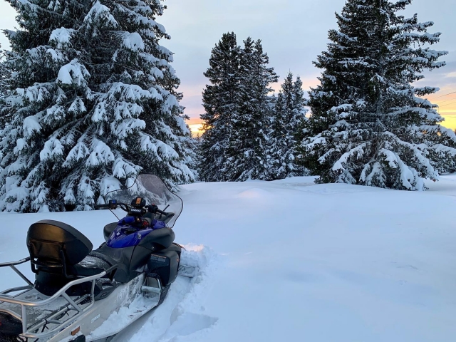 在粉雪中 