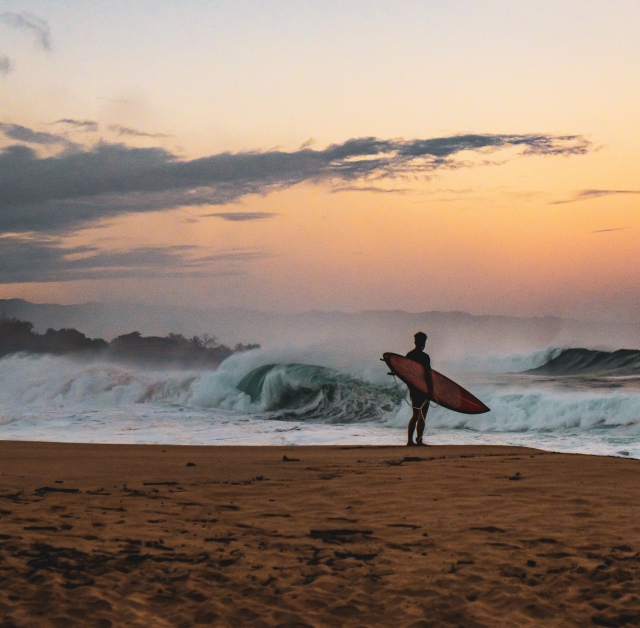 The beaches of the bay 