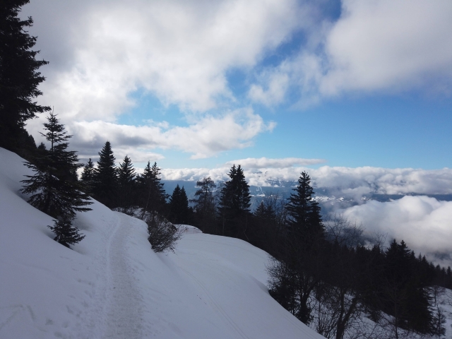 Book your snowshoe hike in Isère 