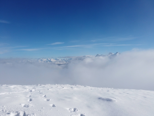  Enjoy the magnificent landscapes of Isère during your snowshoe hike