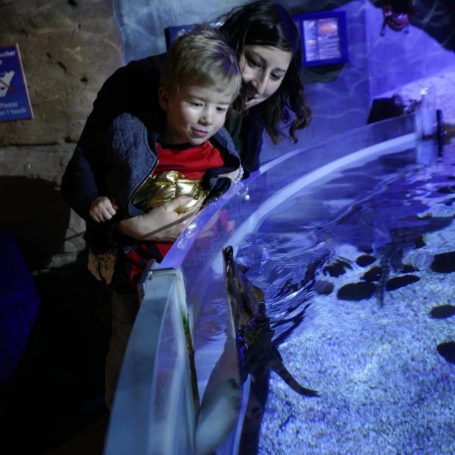 A la découverte des fonds marins