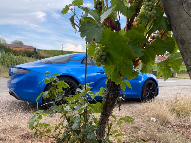 Alpine A 110S dans les vignobles alsaciens