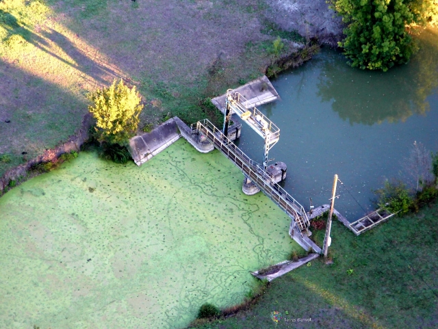  View of the canal network of Green Venice 