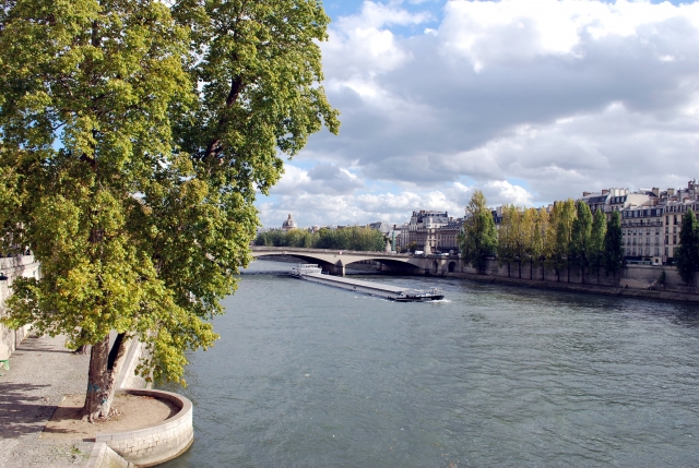  Die Île de la Cité, ein Paradies für Spaziergänger 