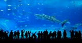 Entrada al Acuario de Lyon