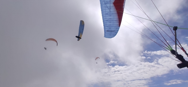  Gleitschirmflieger am Himmel des Verdon 
