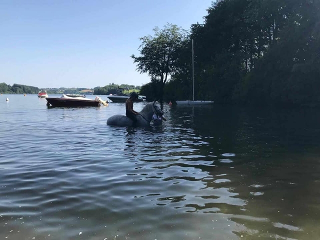  Paseos a caballo por el lago Pareloup 