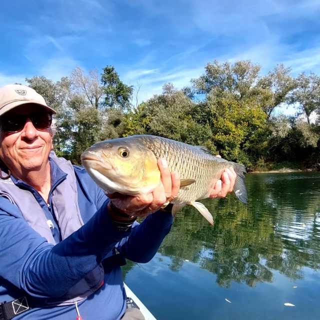 Pesca alla trota e al salmone atlantico nella Nive 