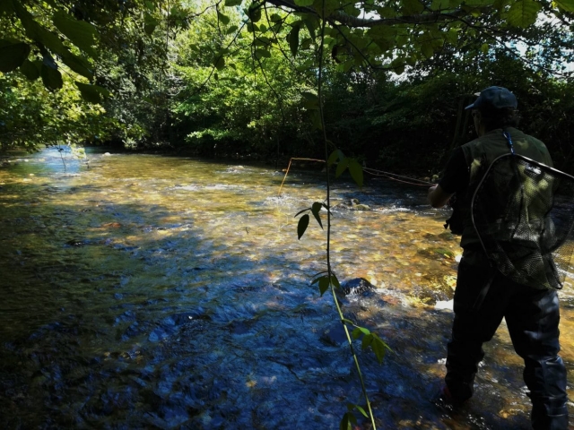  Pesca di tre giorni corso vicino a Biarritz