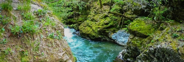  La pesca al toc nella Nive 