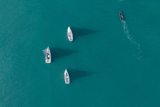 Choisissez l'un de nos navires pour cette excursion en mer