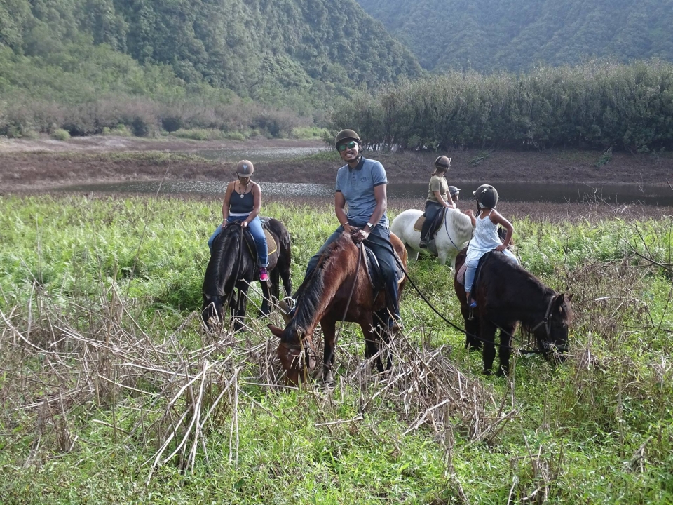Adossez-vous à l'un de nos chevaux pour une balade inoubliable à l'île de La Réunion Adossez-vous à l'un de nos chevaux pour une balade inoubliable à l'île de La Réunion