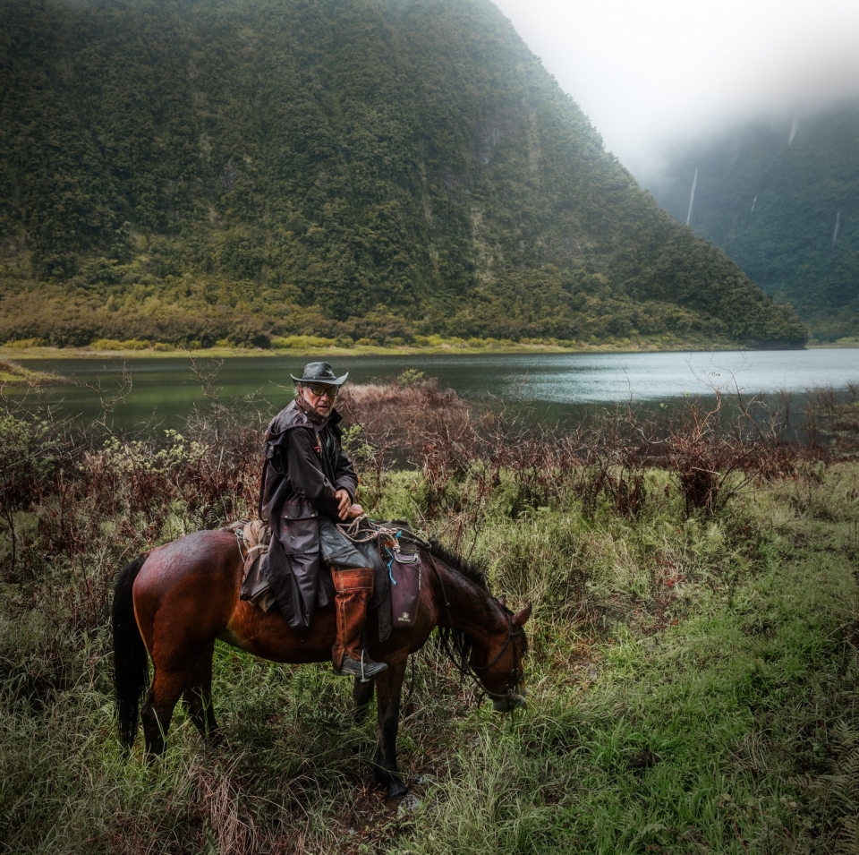 Une expérience unique de balade à cheval dans le Grand Étang